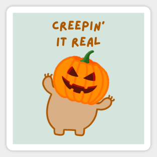 Keeping It Real Halloween Pumpkin Head Sloth Magnet